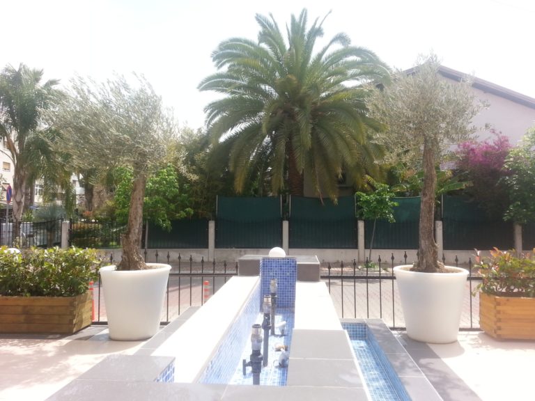 İzmir Bostanlı Vilayetler Evi Peysan Peyzaj